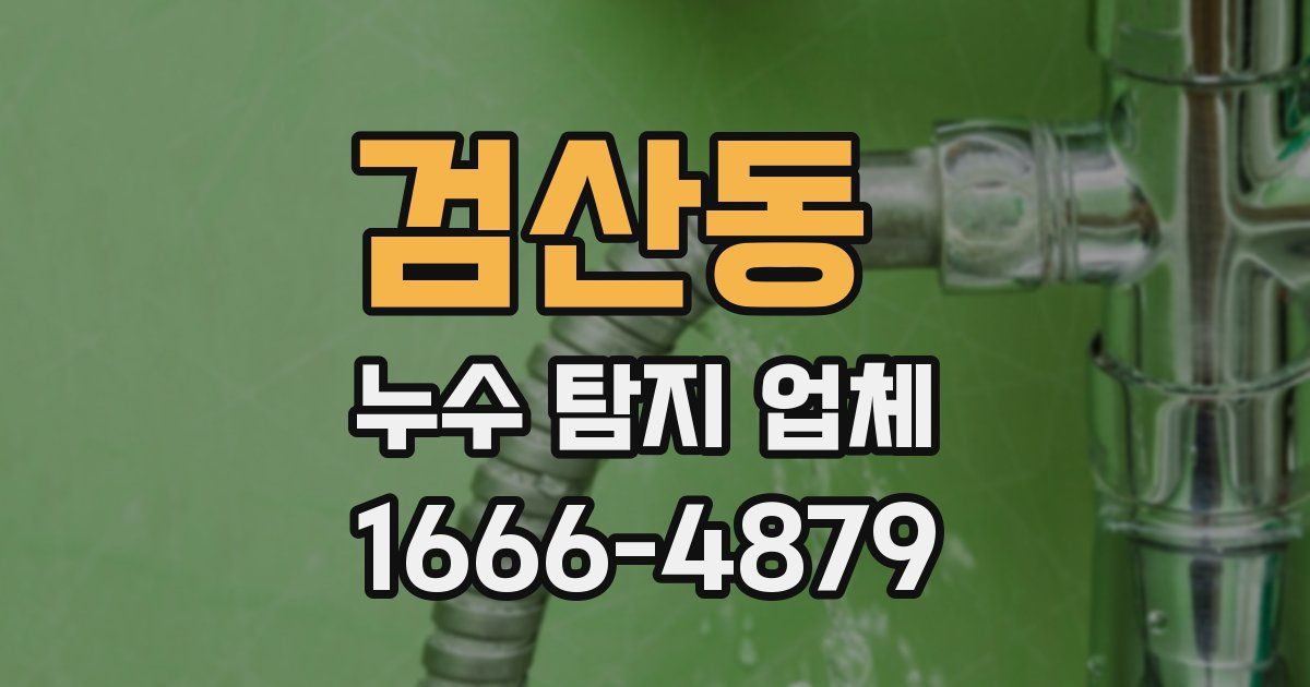 검산동 누수 탐지 업체