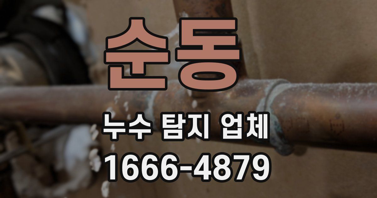 순동 누수 탐지 업체