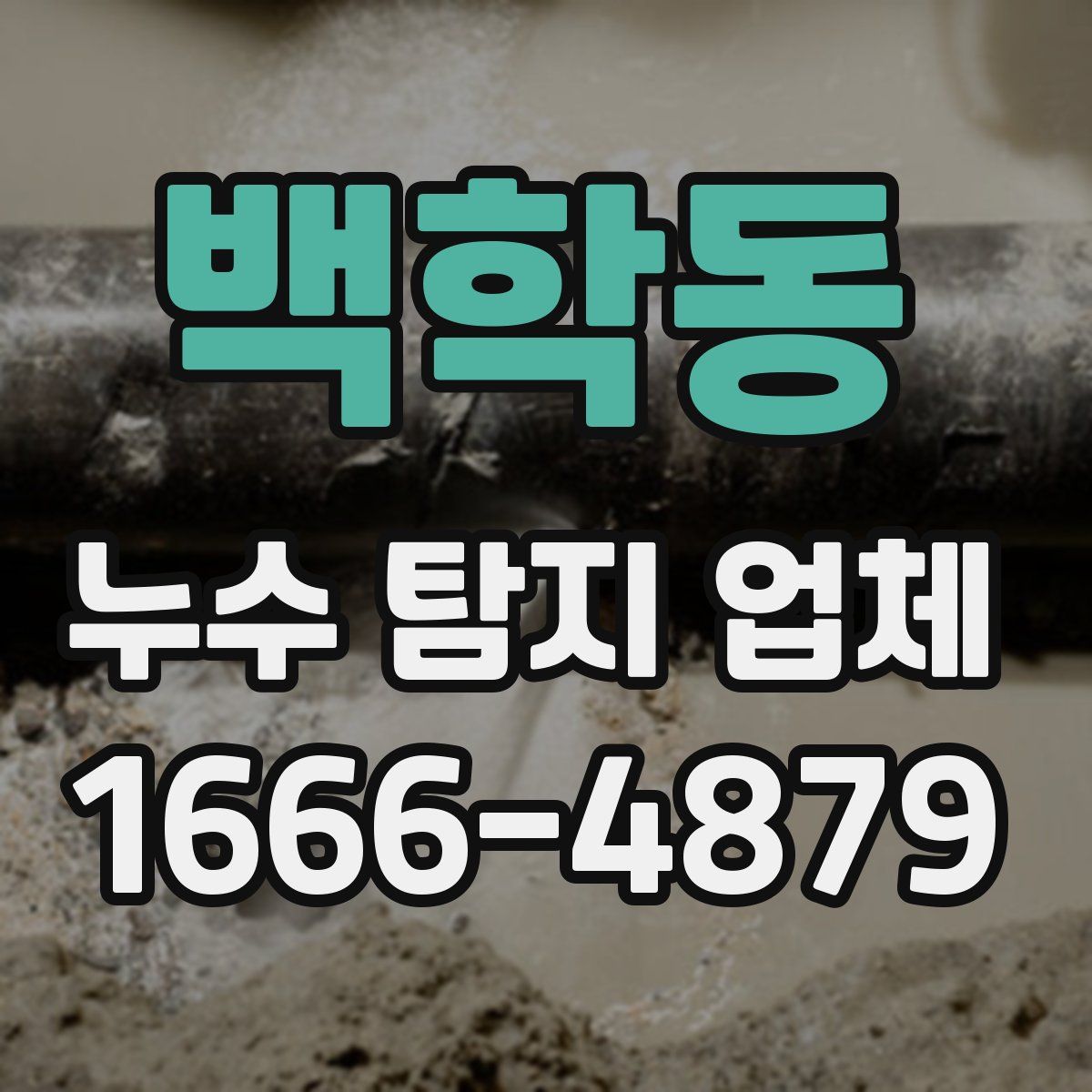 백학동 누수 탐지 업체