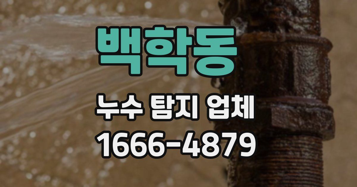 백학동 누수 탐지 업체