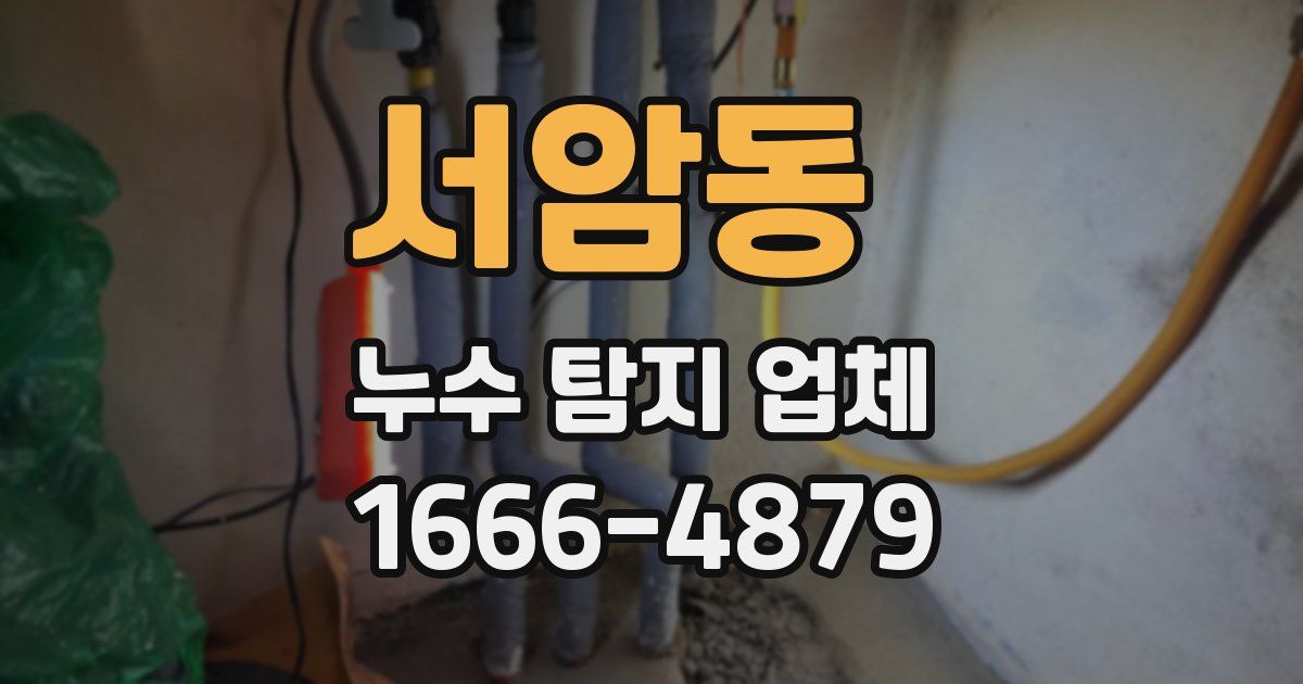 서암동 누수 탐지 업체