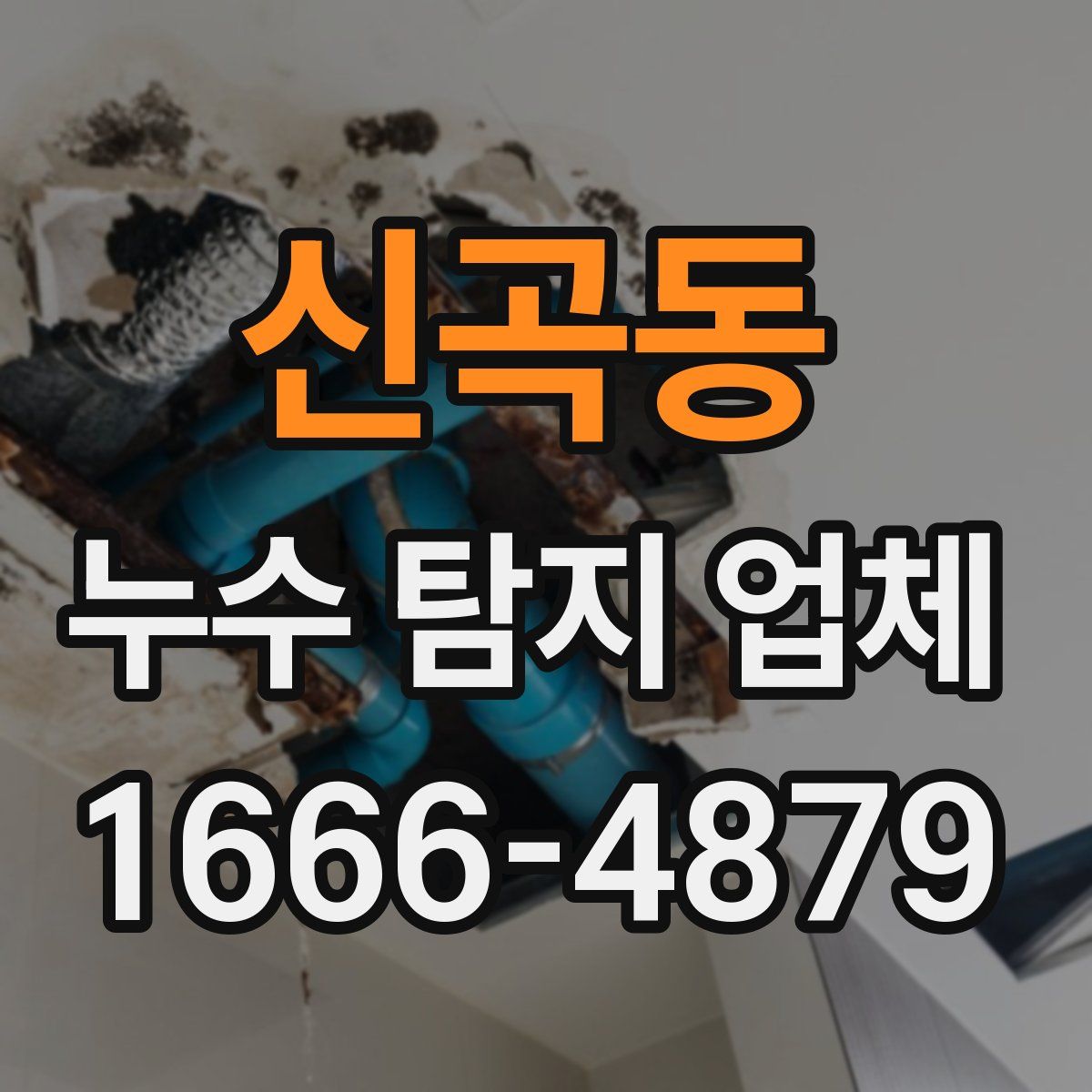 신곡동 누수 탐지 업체