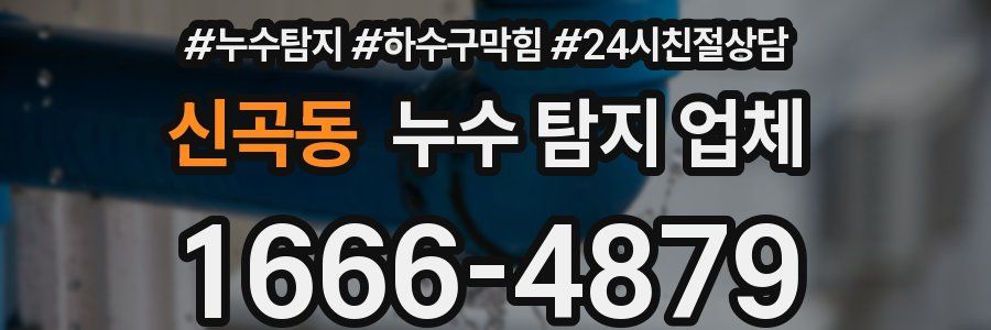 신곡동 누수 탐지 업체