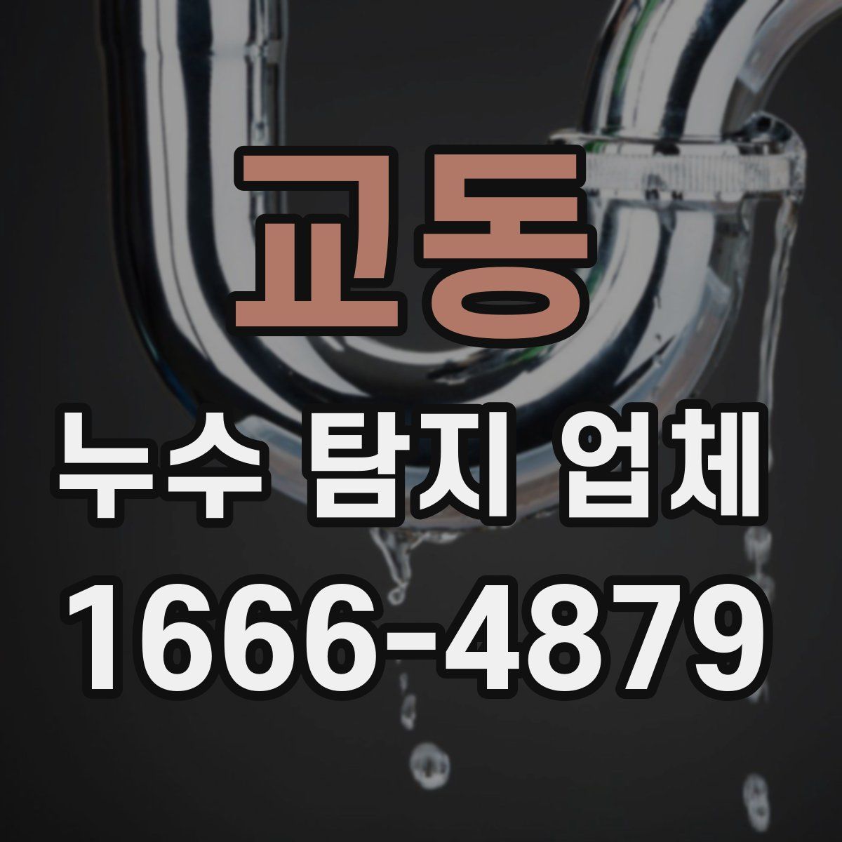 교동 누수 탐지 업체