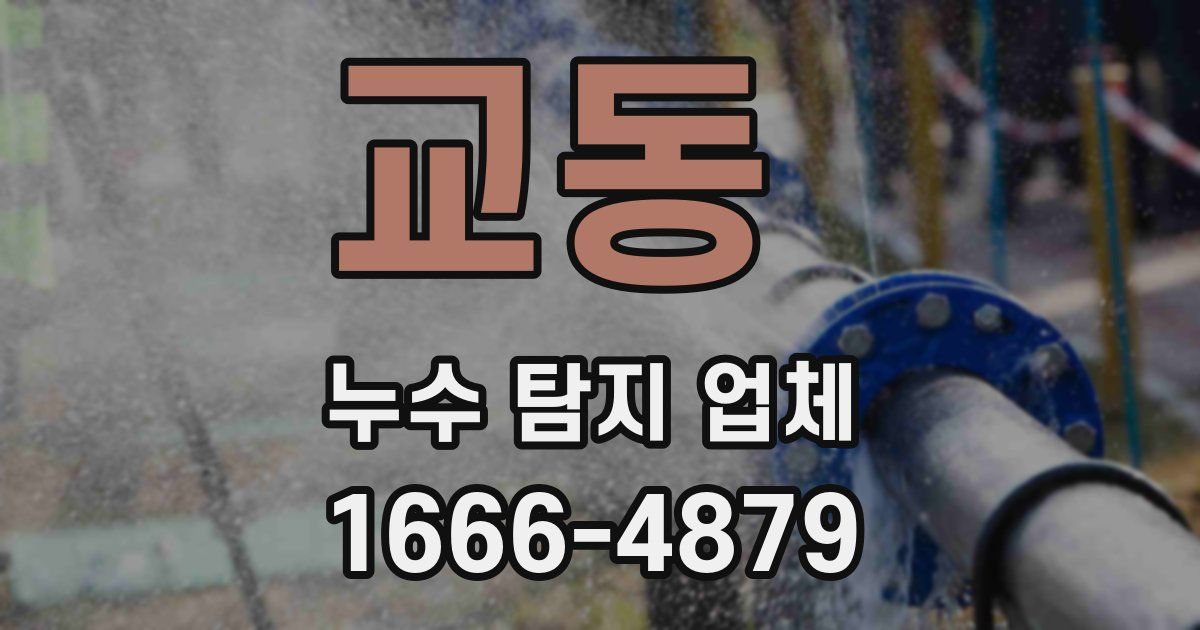 교동 누수 탐지 업체