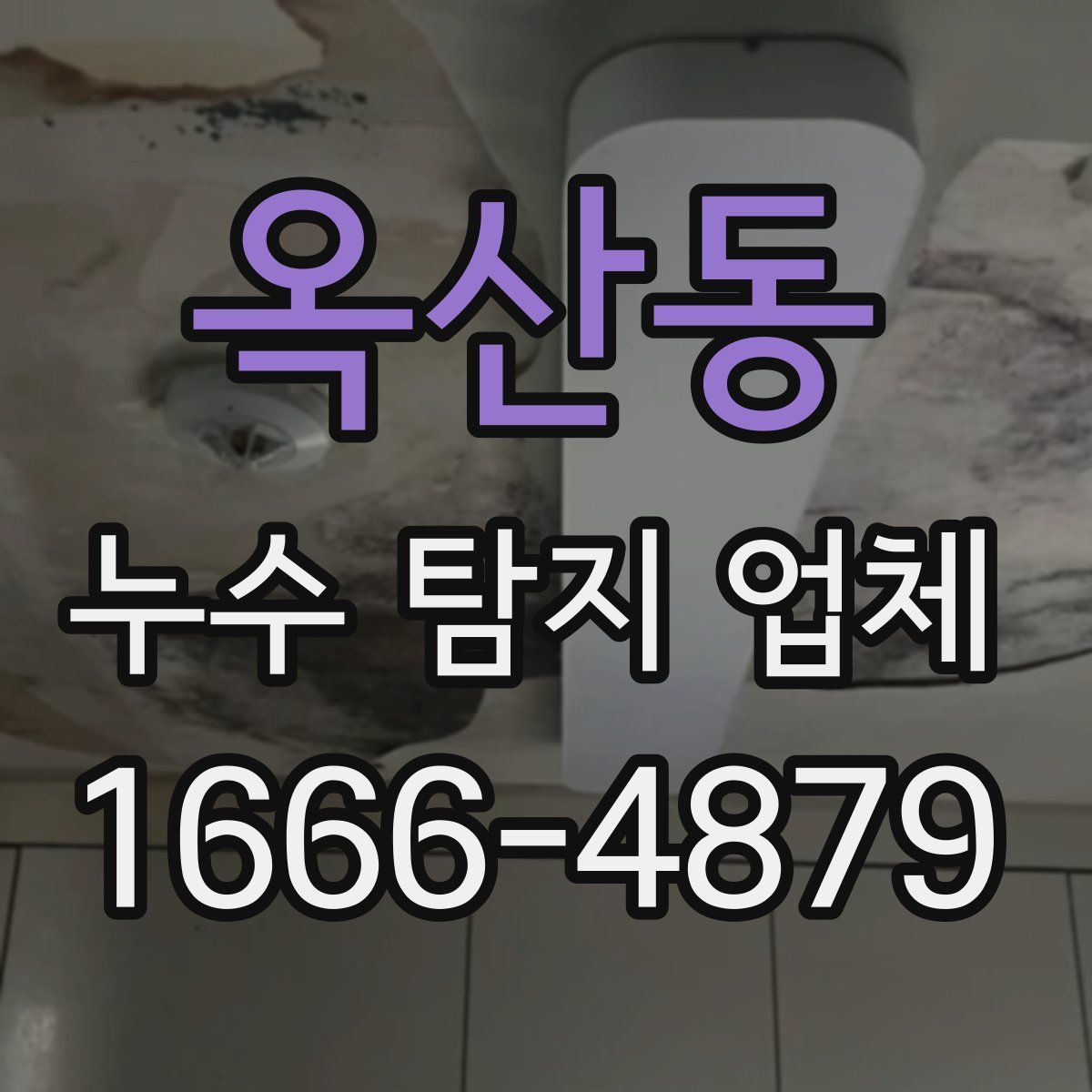 옥산동 누수 탐지 업체