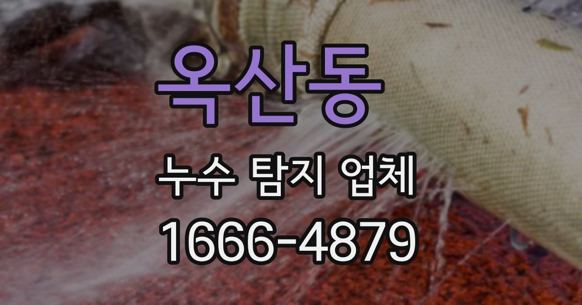 옥산동 누수 탐지 업체