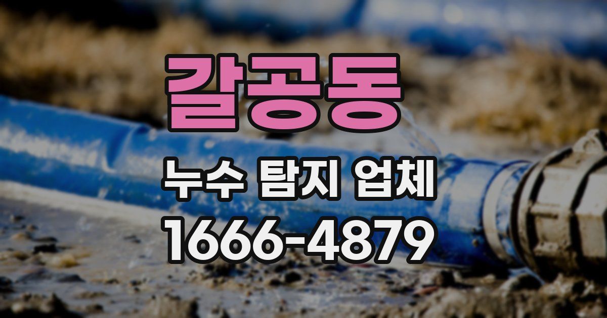 갈공동 누수 탐지 업체