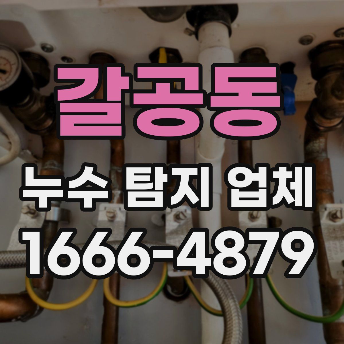 갈공동 누수 탐지 업체
