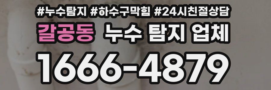 갈공동 누수 탐지 업체