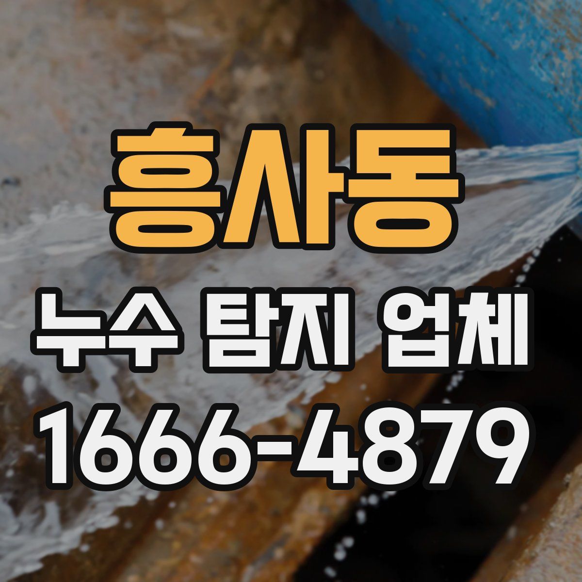 흥사동 누수 탐지 업체