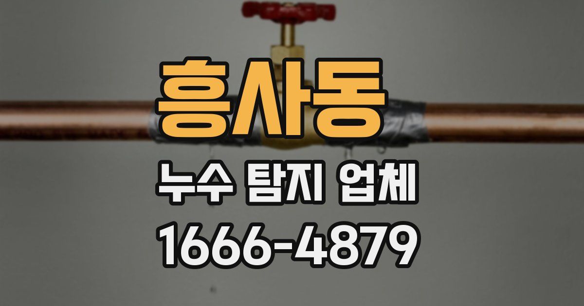흥사동 누수 탐지 업체