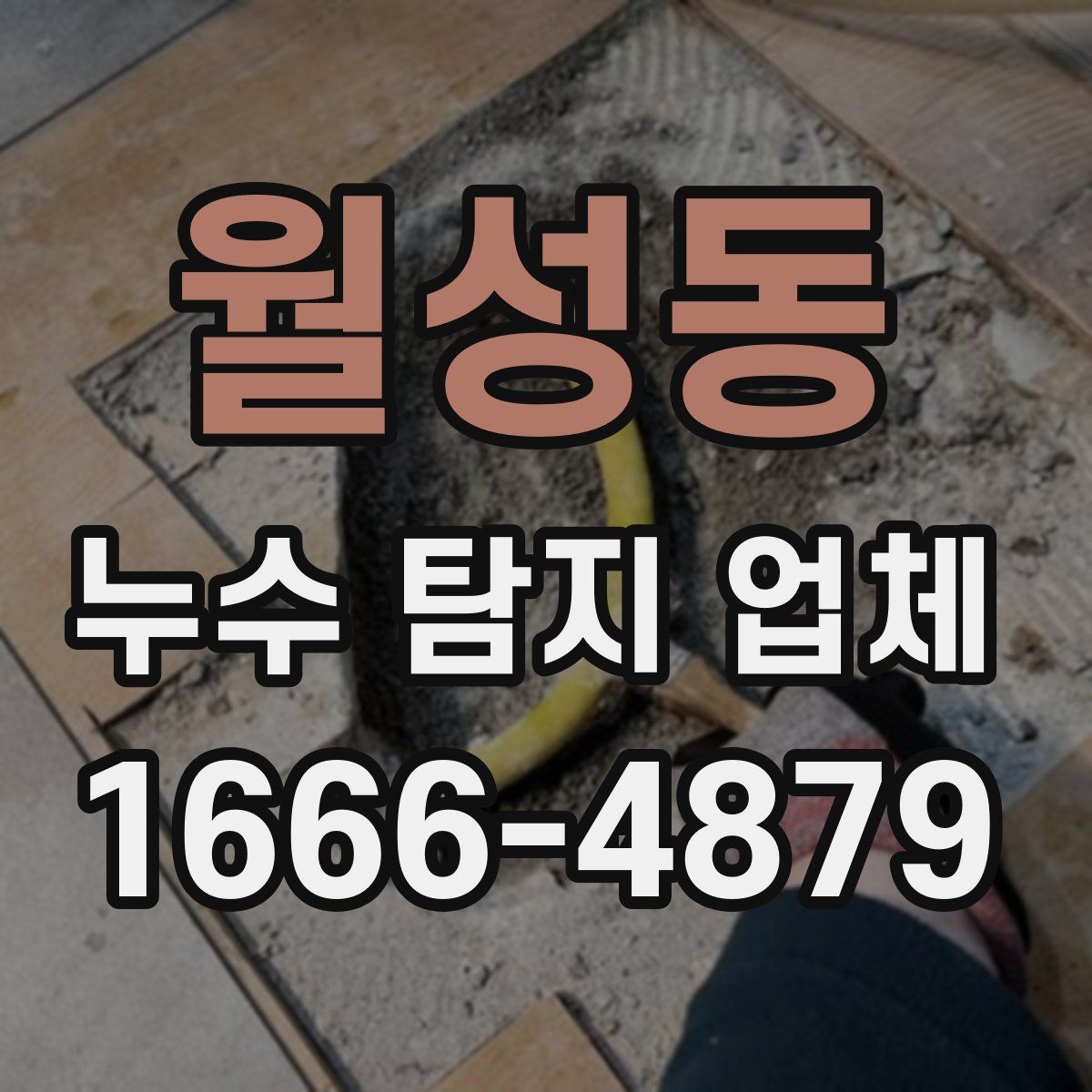 월성동 누수 탐지 업체