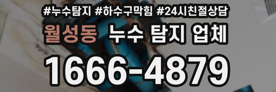 월성동 누수 탐지 업체