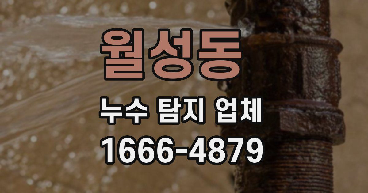 월성동 누수 탐지 업체