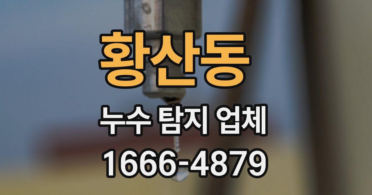 황산동 누수 탐지 업체