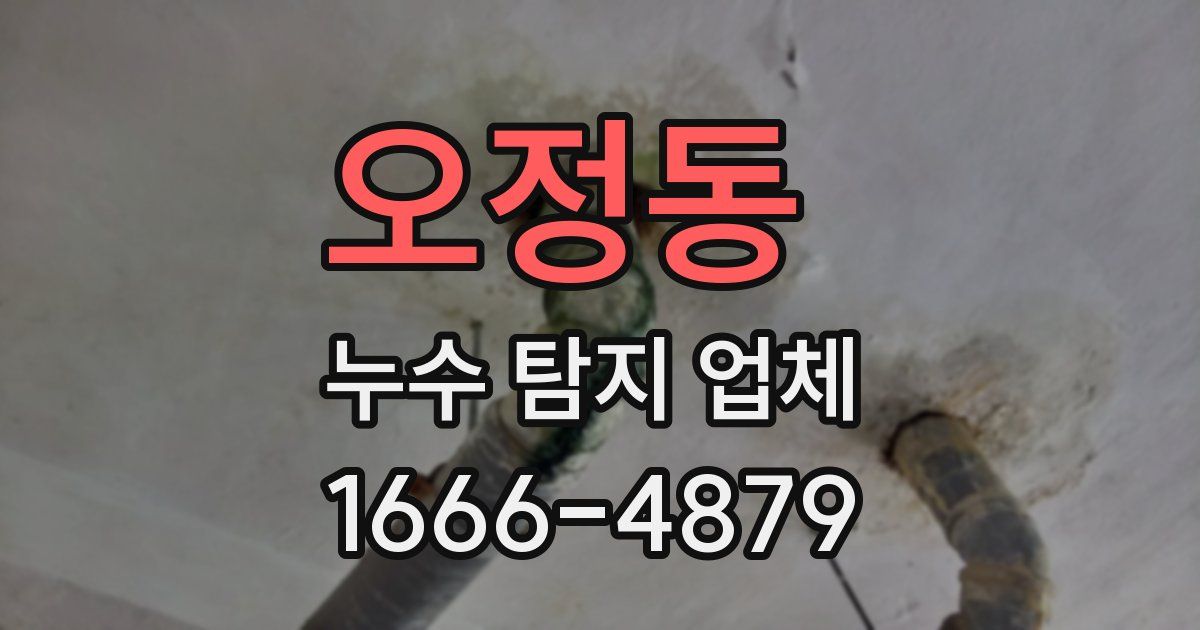 오정동 누수 탐지 업체