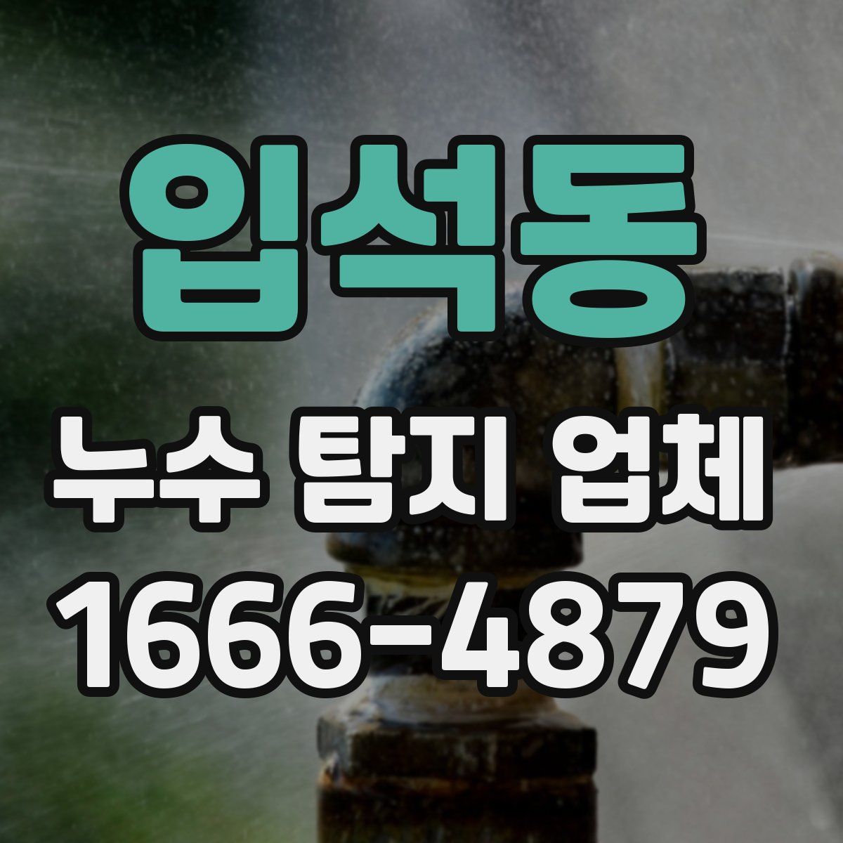 입석동 누수 탐지 업체