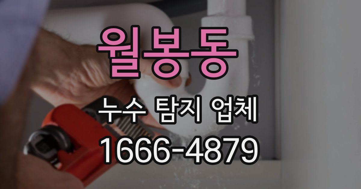 월봉동 누수 탐지 업체