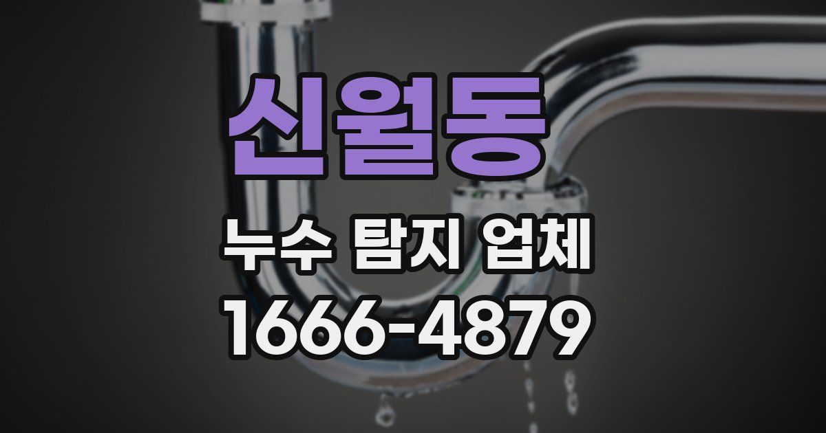 신월동 누수 탐지 업체