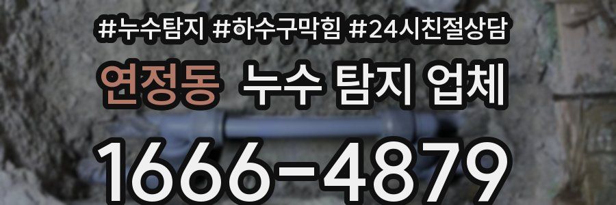 연정동 누수 탐지 업체