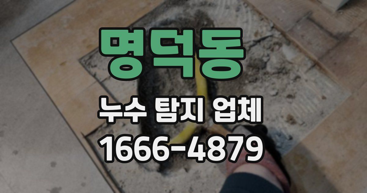 명덕동 누수 탐지 업체