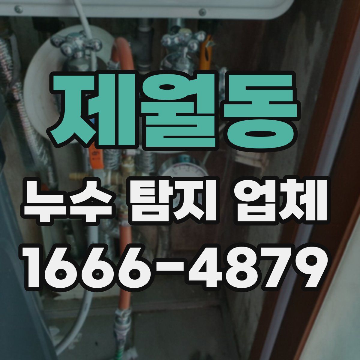 제월동 누수 탐지 업체