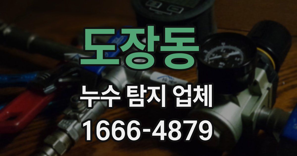 도장동 누수 탐지 업체