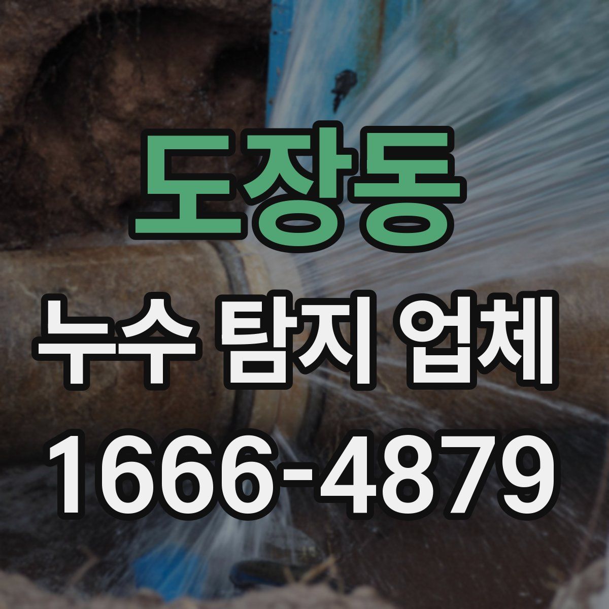 도장동 누수 탐지 업체