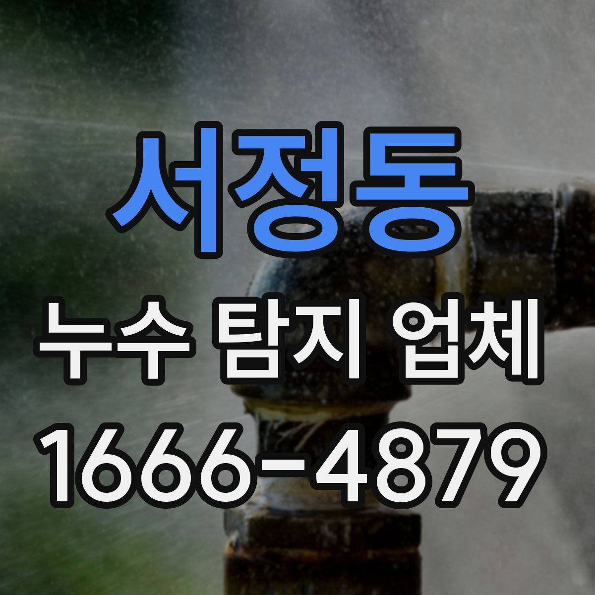 서정동 누수 탐지 업체