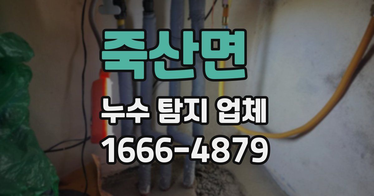 죽산면 누수 탐지 업체