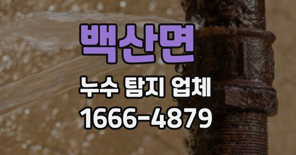 백산면 누수 탐지 업체