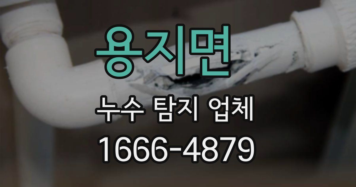 용지면 누수 탐지 업체