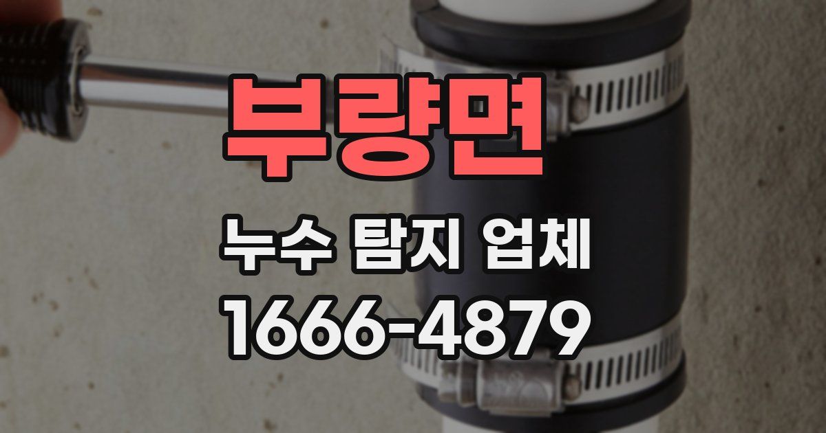 부량면 누수 탐지 업체
