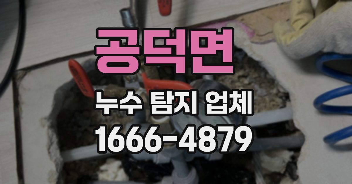 공덕면 누수 탐지 업체