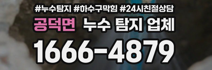 공덕면 누수 탐지 업체