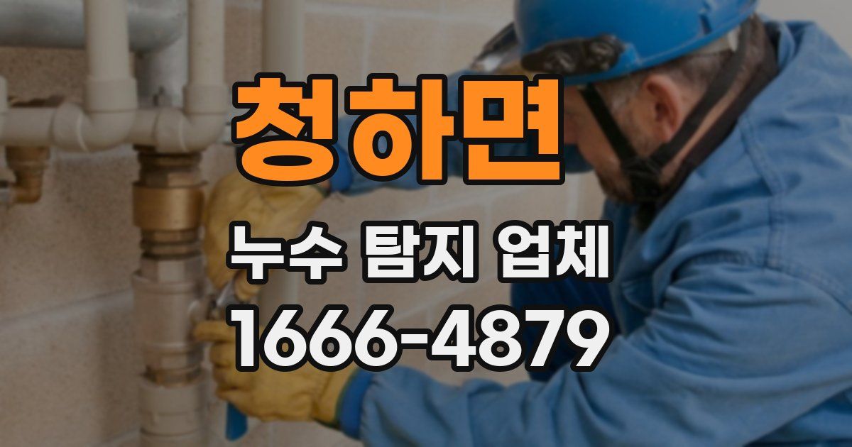 청하면 누수 탐지 업체