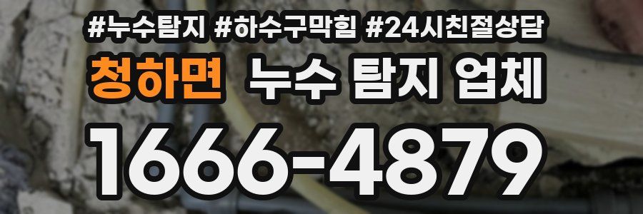 청하면 누수 탐지 업체