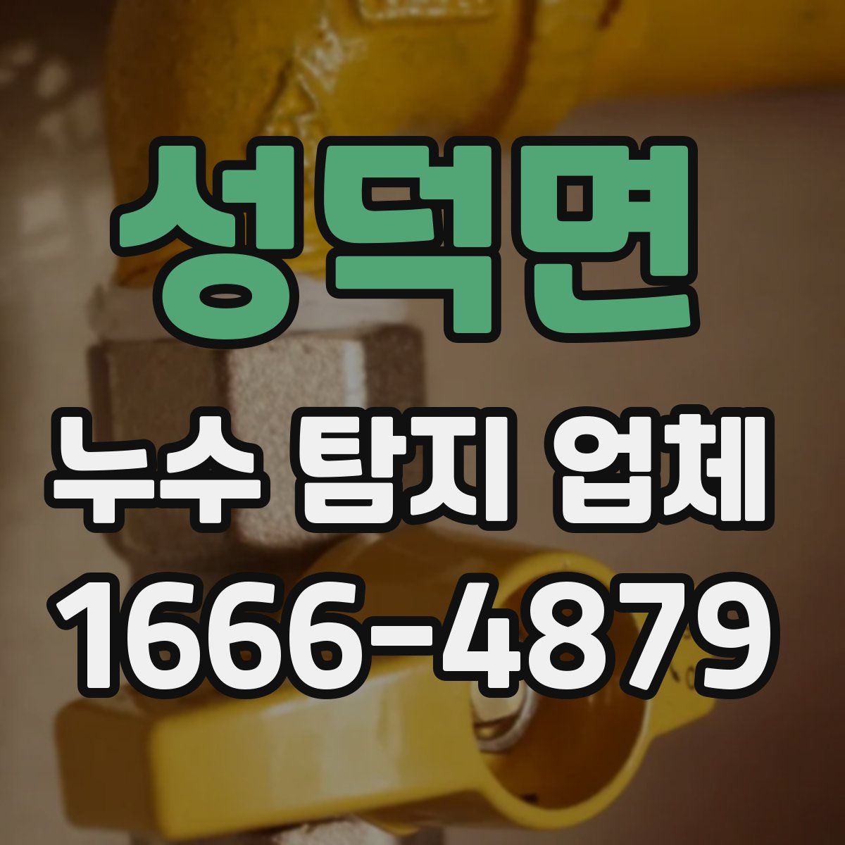 성덕면 누수 탐지 업체