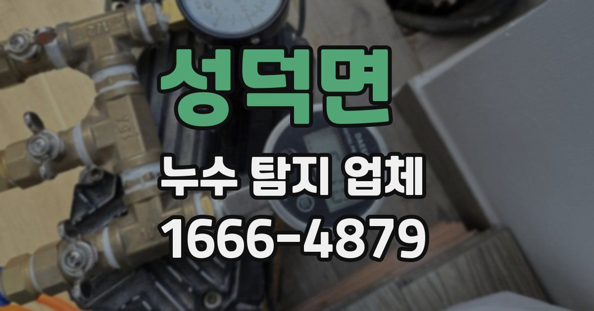 성덕면 누수 탐지 업체