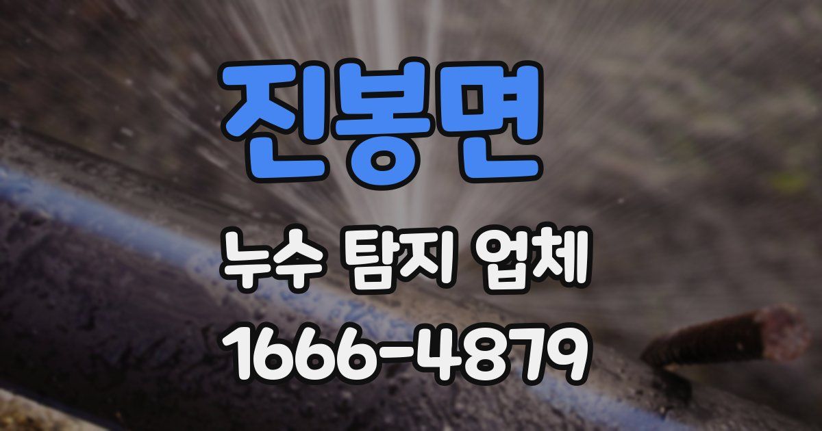 진봉면 누수 탐지 업체