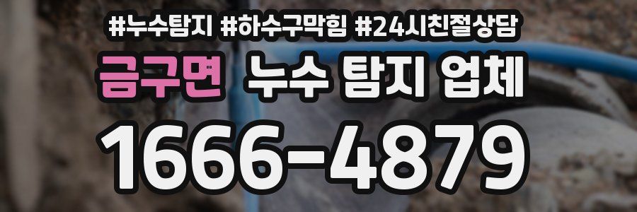 금구면 누수 탐지 업체