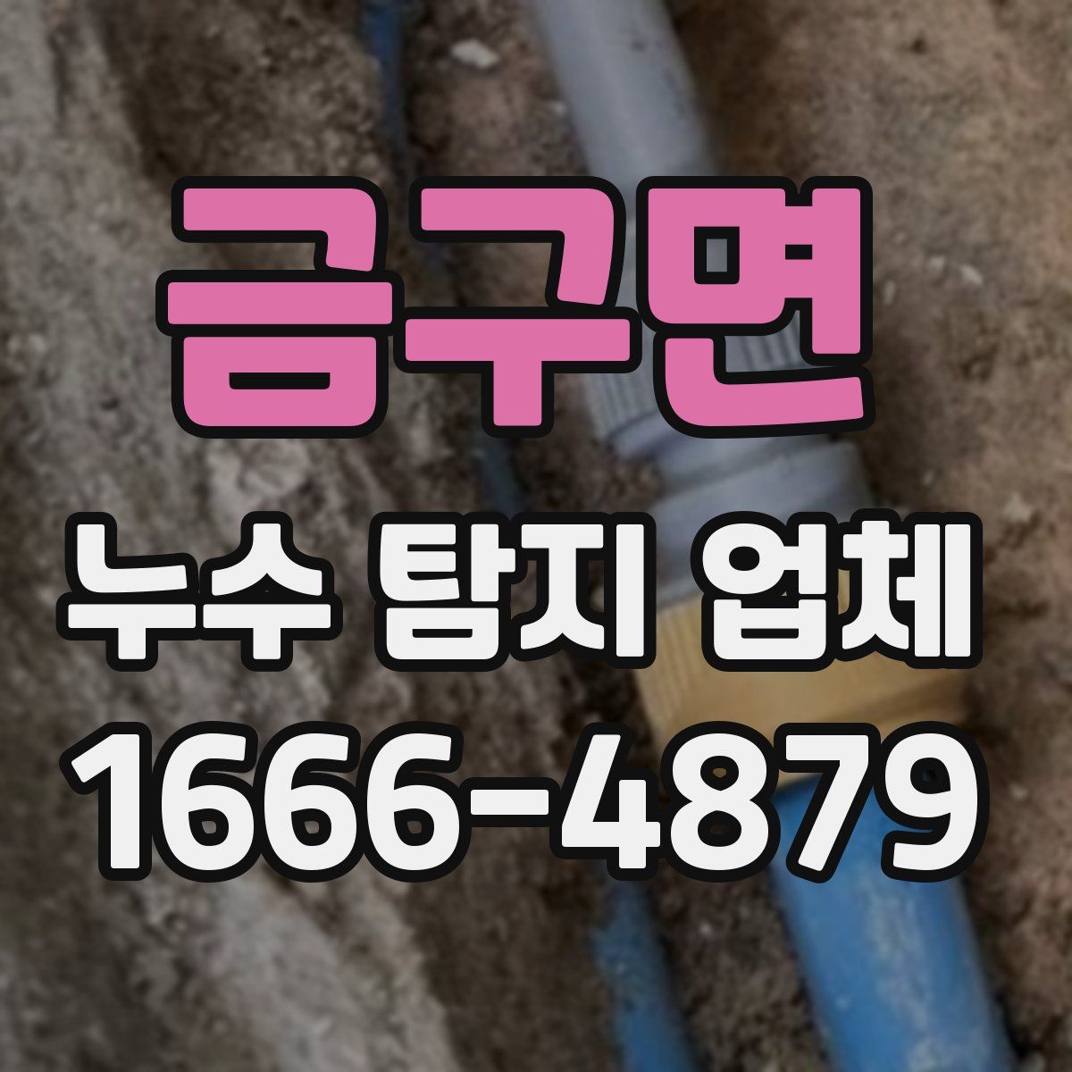 금구면 누수 탐지 업체