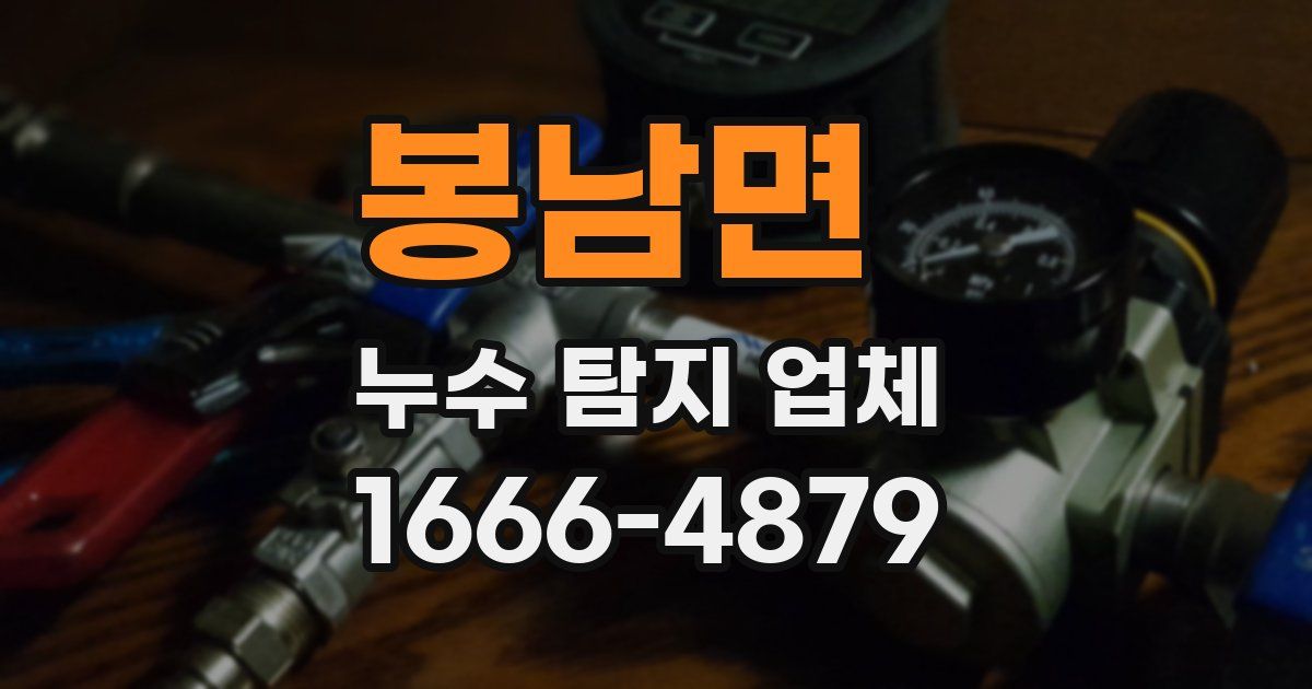봉남면 누수 탐지 업체