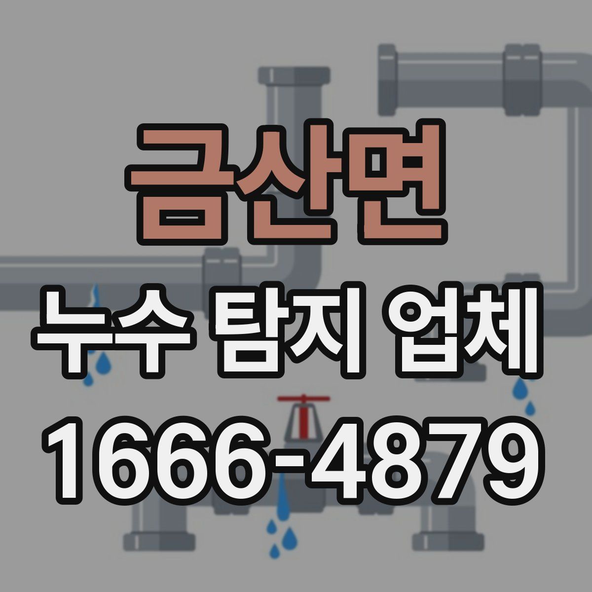 금산면 누수 탐지 업체