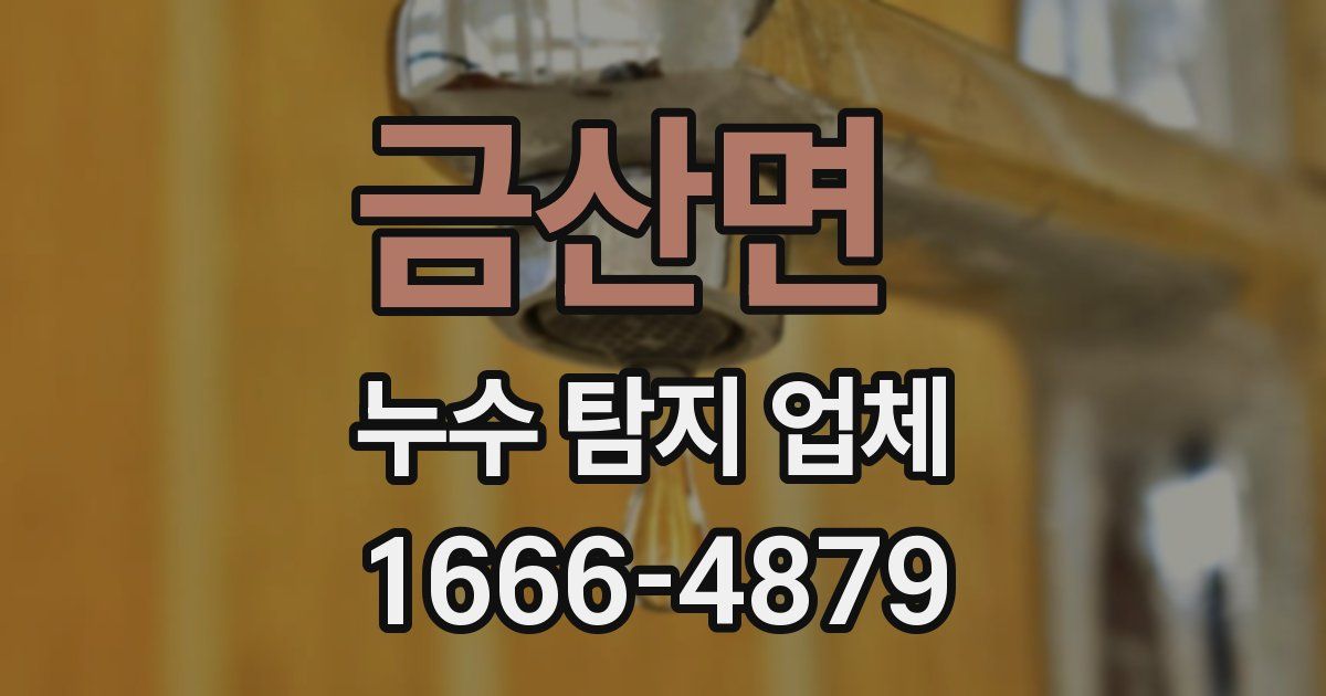 금산면 누수 탐지 업체