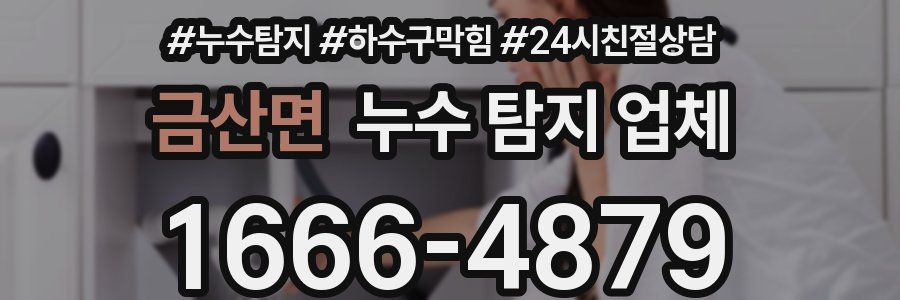 금산면 누수 탐지 업체