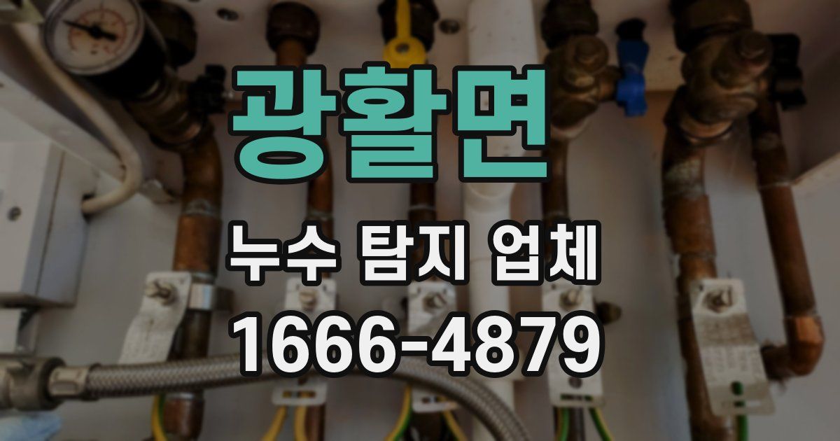 광활면 누수 탐지 업체