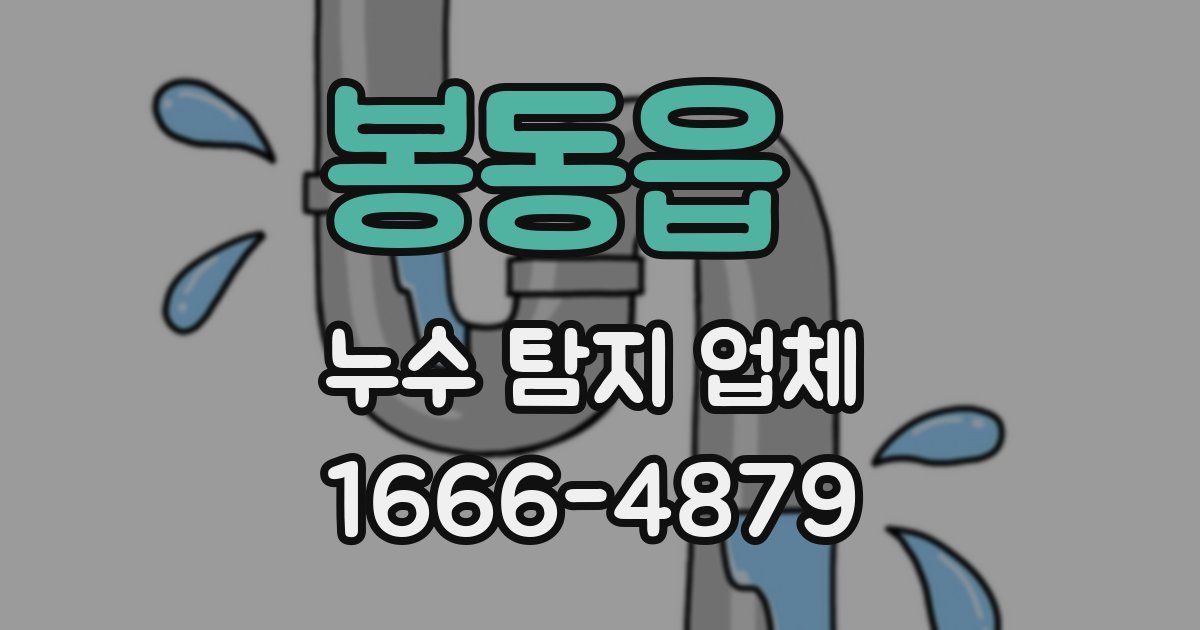 봉동읍 누수 탐지 업체
