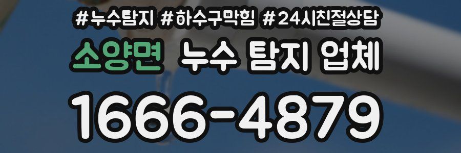 소양면 누수 탐지 업체